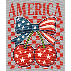 USA-MG 3007